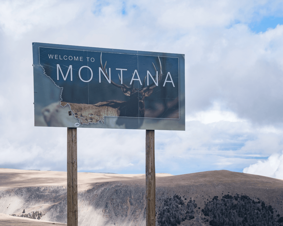 Welcome to Montana billboard with mountains in the background